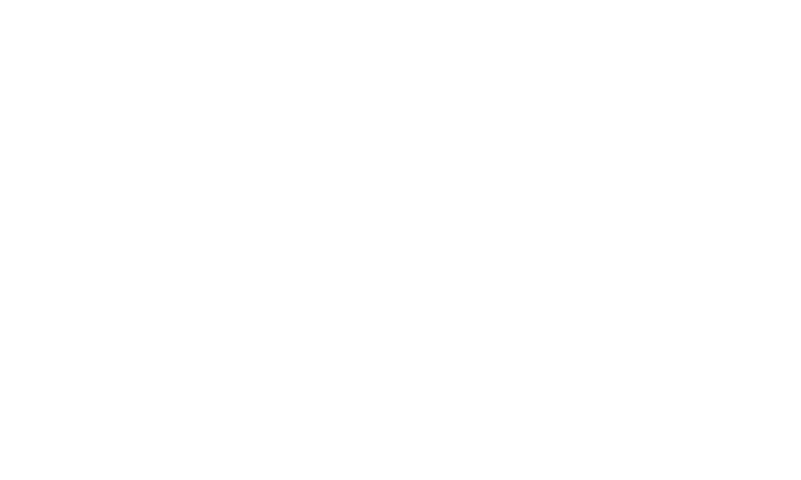Friendly-Auto-Group-Logo—White Friendly Auto Group